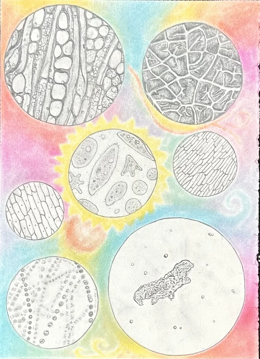 Artwork by Madison M